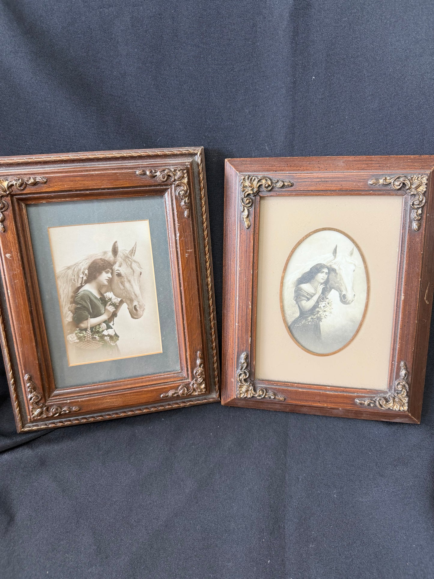 Antique Equine Art — Set of 2 Framed Postcards by Mary Lou Walbergh