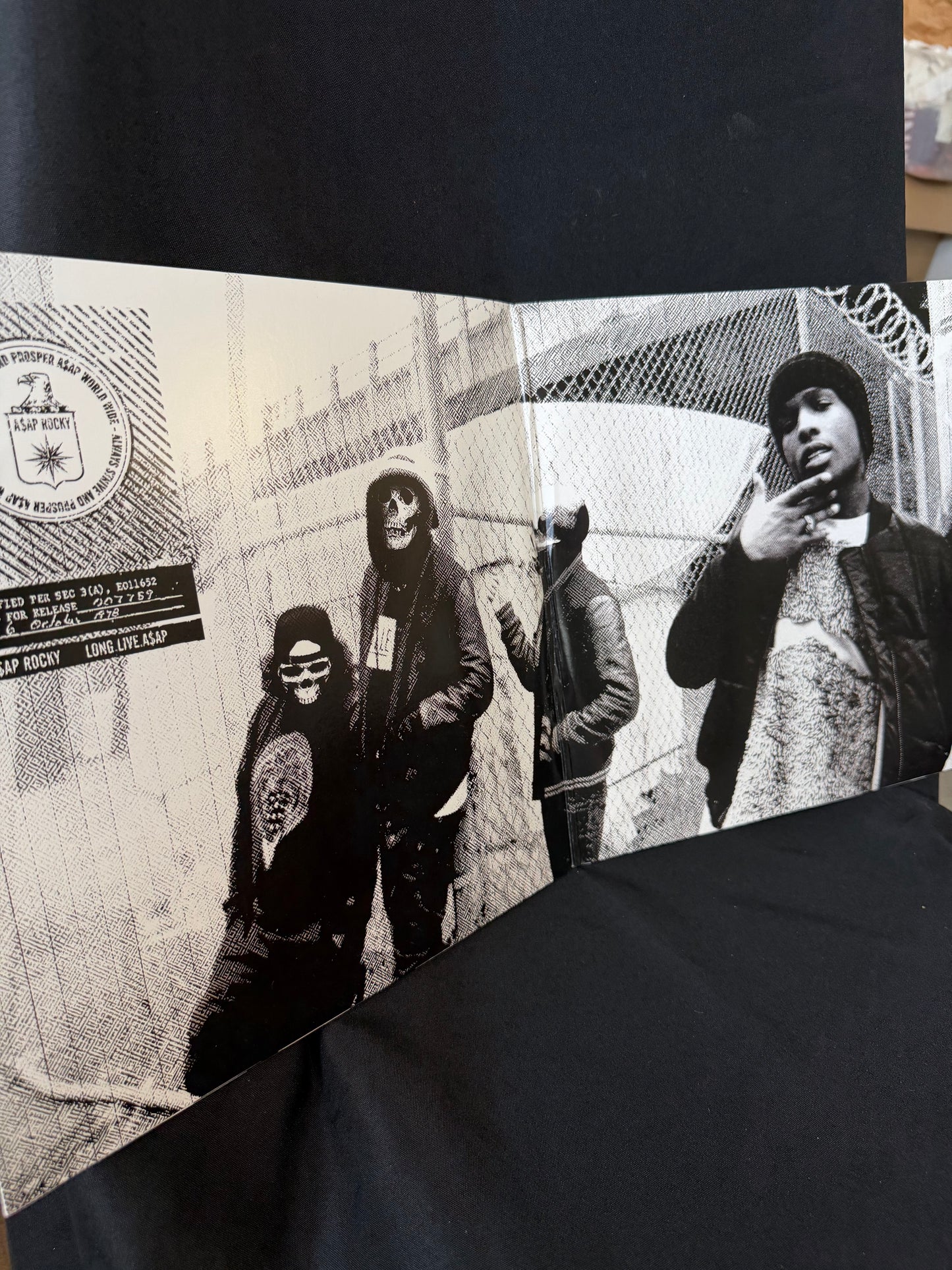 Vinyl Album - Long.Live.A$AP