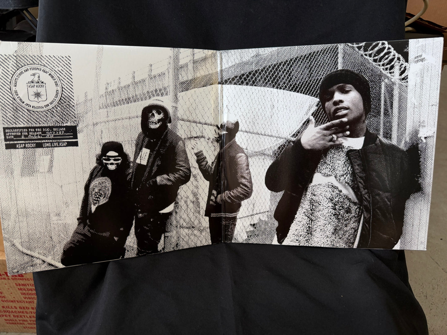 Vinyl Album - Long.Live.A$AP