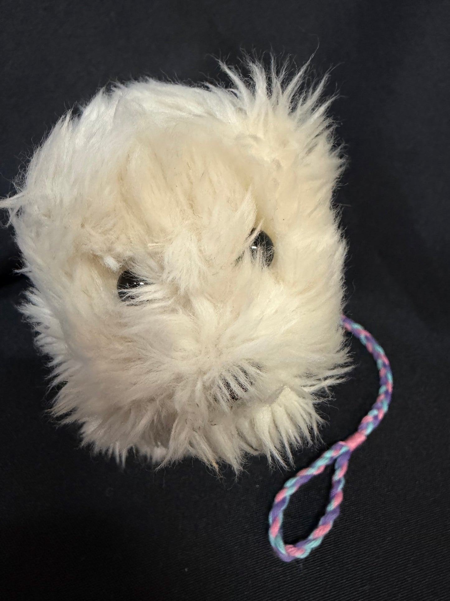 American Girl Doll “Coconut” Dog — With Collar & Leash