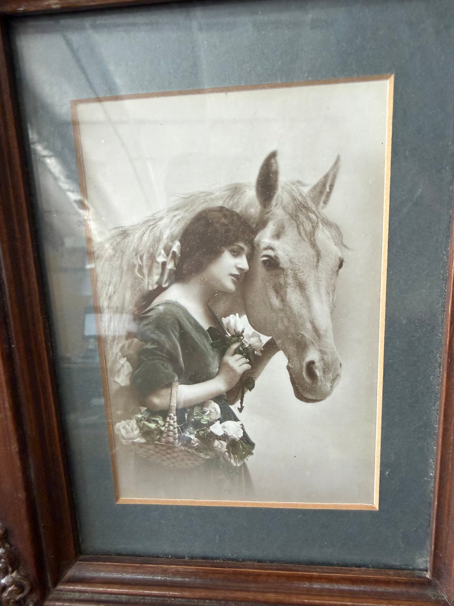 Antique Equine Art — Set of 2 Framed Postcards by Mary Lou Walbergh