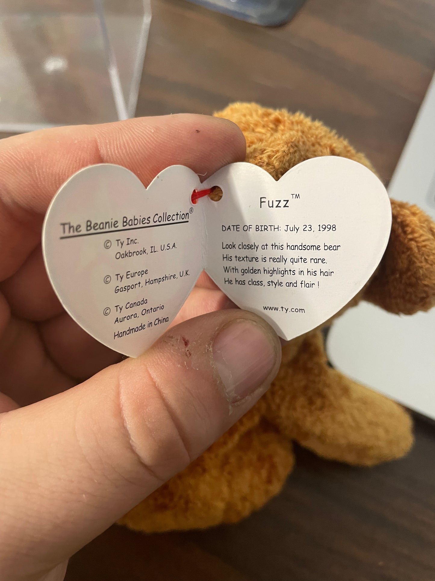 Fuzz the Bear Beanie Baby with Errors