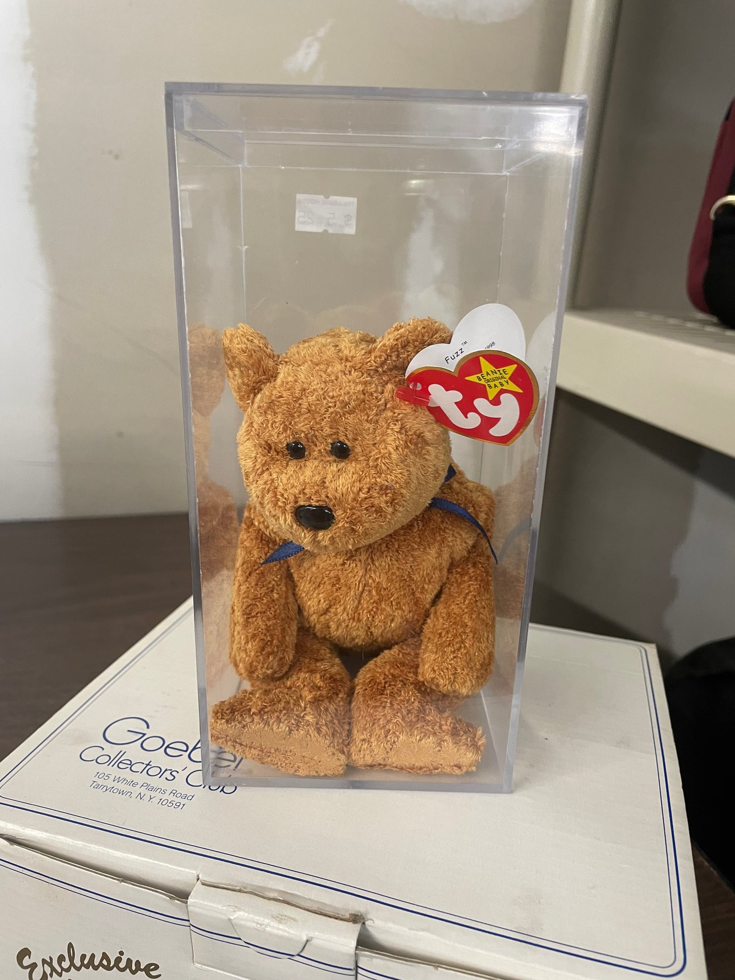 Fuzz the Bear Beanie Baby with Errors